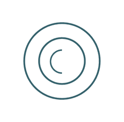 Crypto icon