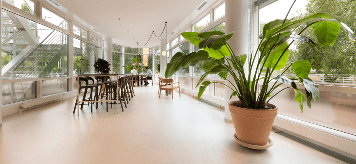 Lichte kantine grote raampartijen