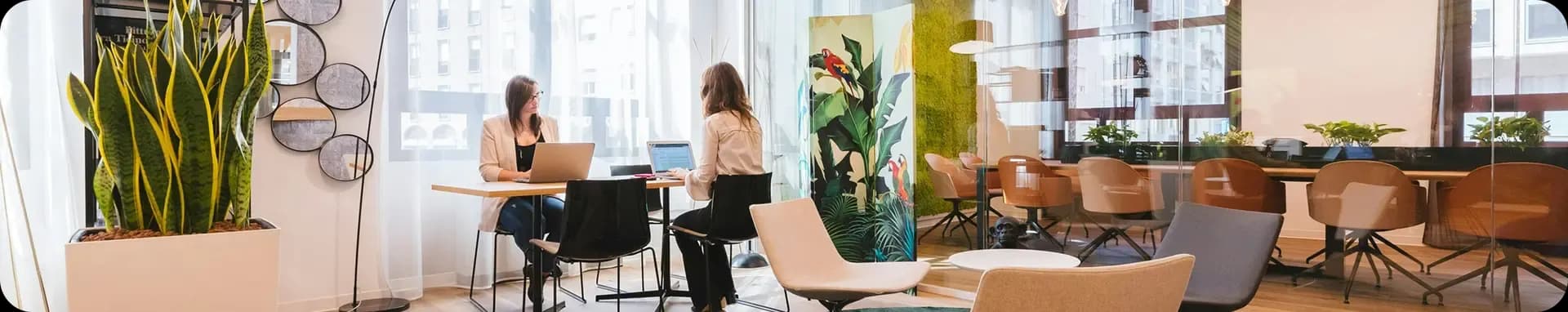 Moderne kantoorruimte met twee vrouwen, laptops en veel groen